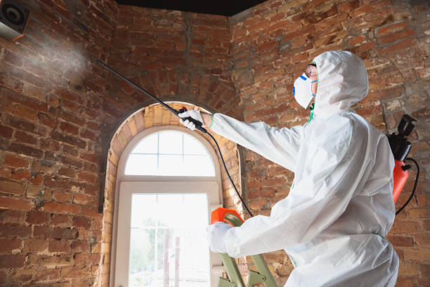 Best Mold Odor Removal Services  in Parachute, CO