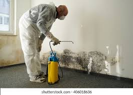 Why You Should Choose Our Mold Remediation Services in Parachute, CO